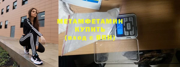 прущие грибы Касимов