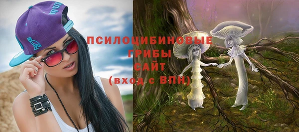 прущие грибы Касимов