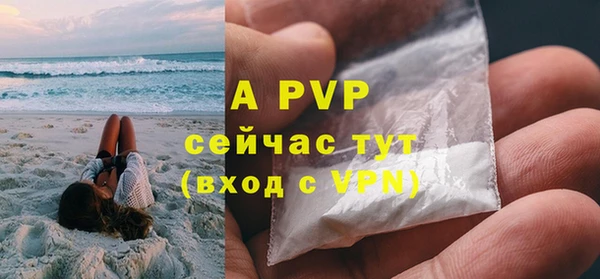 прущие грибы Касимов