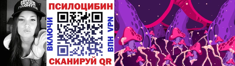 Галлюциногенные грибы Psilocybine cubensis  Красноперекопск 