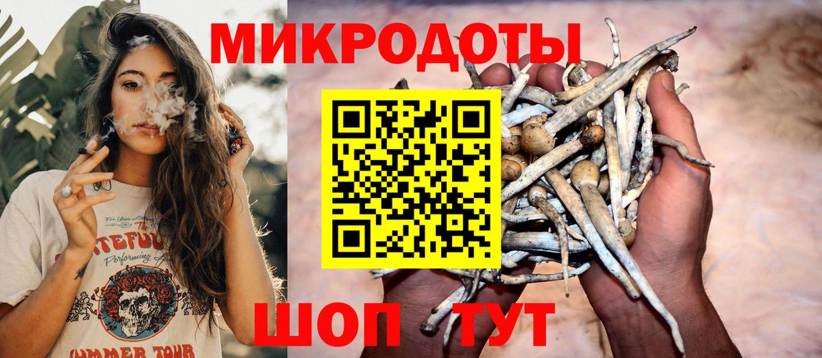 Псилоцибиновые грибы Cubensis  Вход с VPN  Красноперекопск 